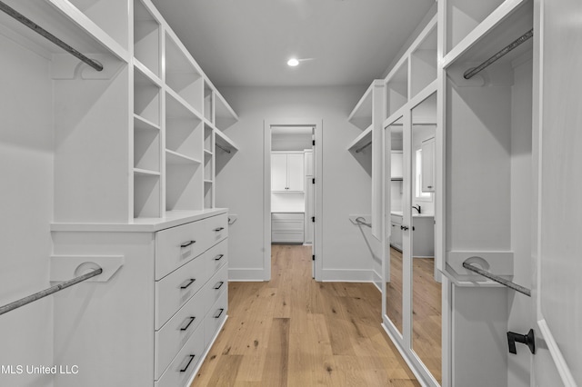 spacious closet featuring light wood finished floors