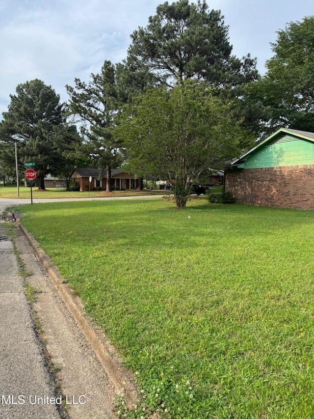 view of green lawn