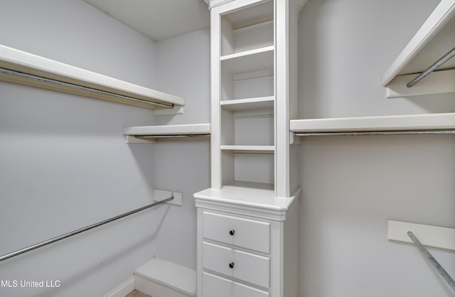 view of walk in closet