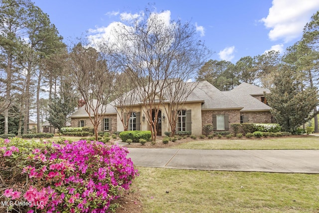 view of front of home featuring a front yard and stucco siding