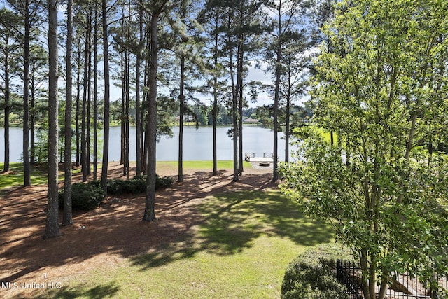 property view of water