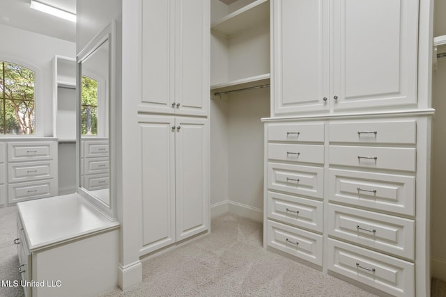 spacious closet with light carpet