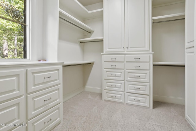walk in closet with carpet