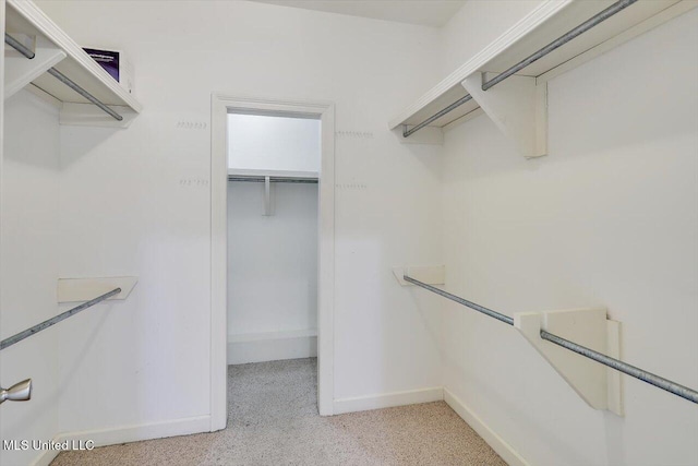 view of spacious closet