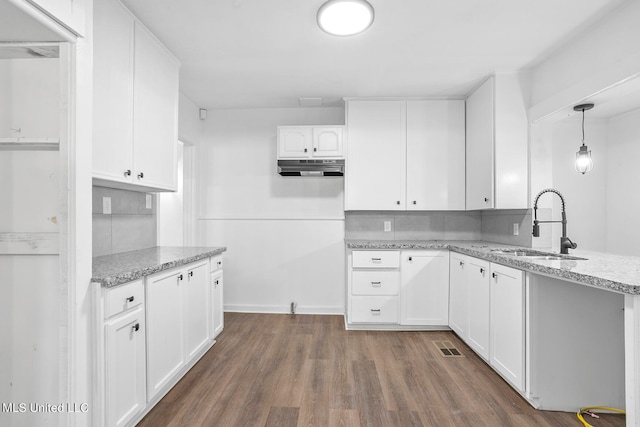 kitchen with tasteful backsplash, white cabinetry, light stone countertops, dark hardwood / wood-style floors, and pendant lighting