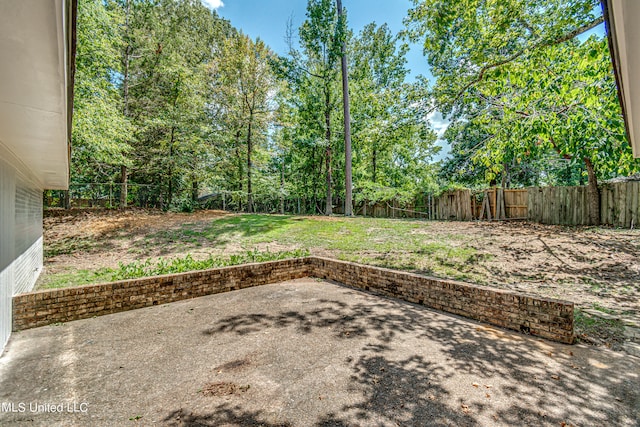 view of yard with a patio area