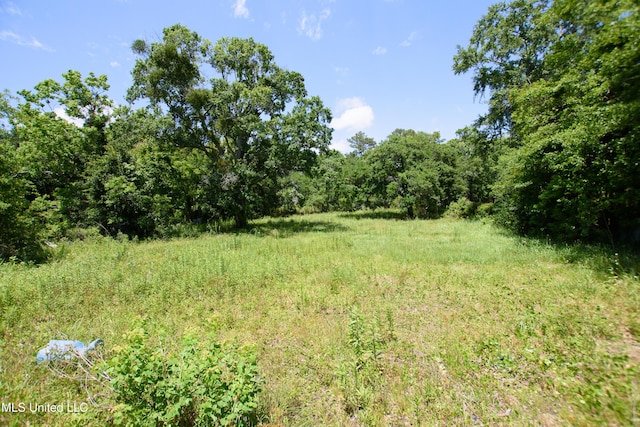 view of tree filled area