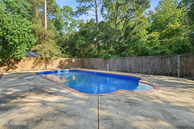 view of pool featuring a diving board and a patio area