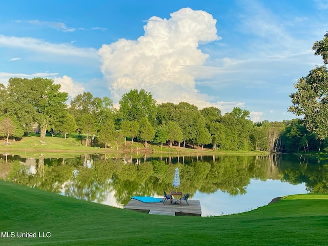 445 Carey Chapel Rd, Red Banks, MS 38661 - water view