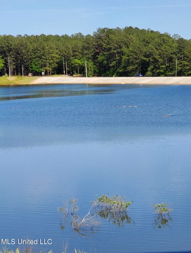 view of water feature