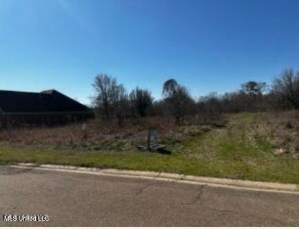 Crossbridge Blvd, Byram MS, 39272 land for sale