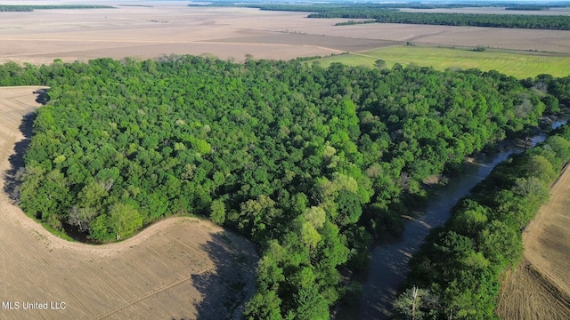 County Road 523, Schlater, MS 38952