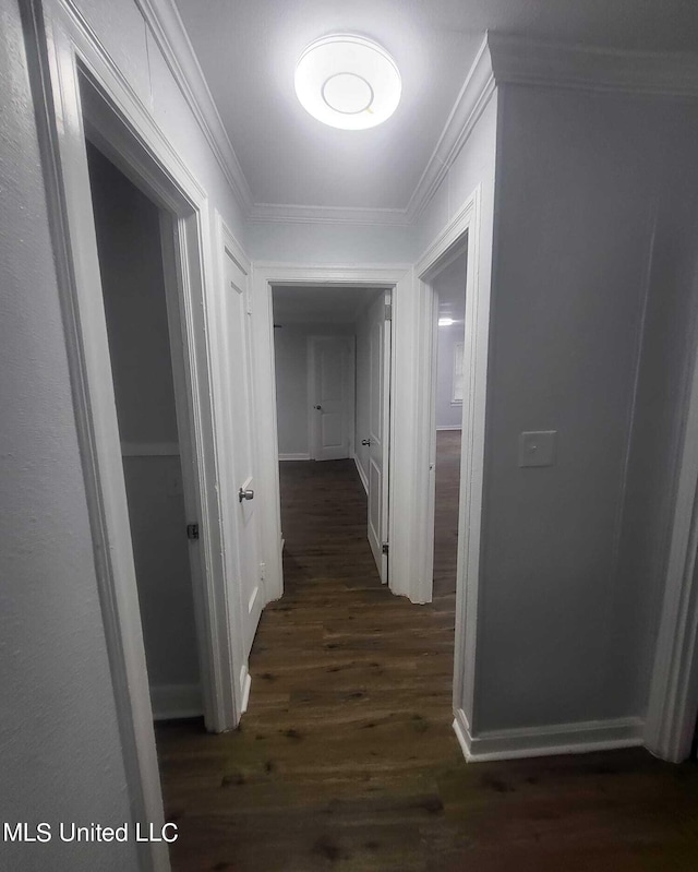 hallway with crown molding and dark hardwood / wood-style flooring