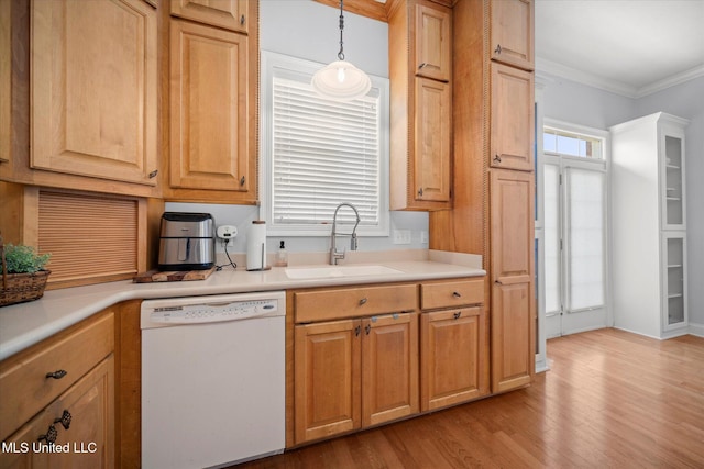25 Savannah Cir, Brandon, MS 39047 - kitchen featuring white dishwasher, a sink, light wood-style flooring, crown molding, and light countertops