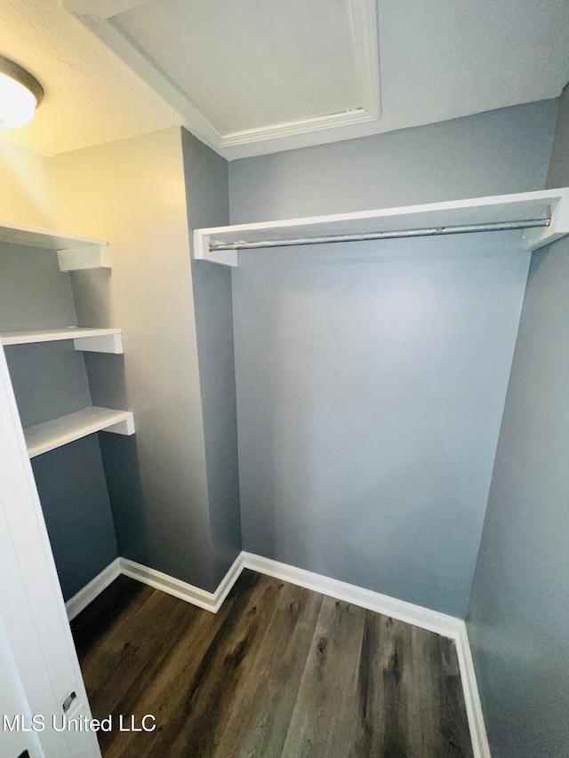 walk in closet with dark wood-type flooring