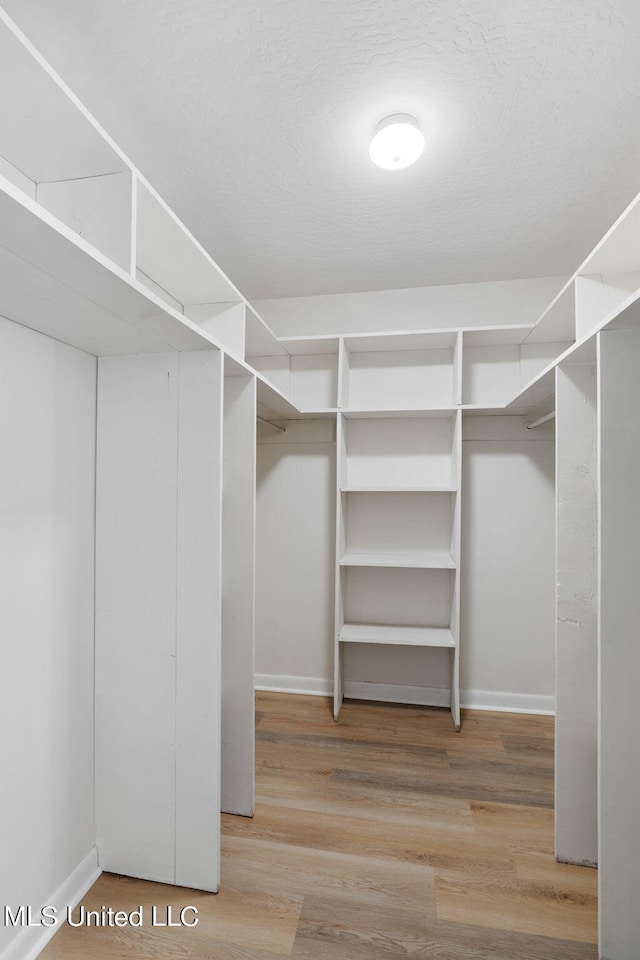 spacious closet featuring hardwood / wood-style flooring