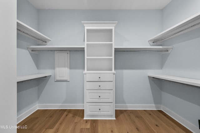 walk in closet with hardwood / wood-style flooring