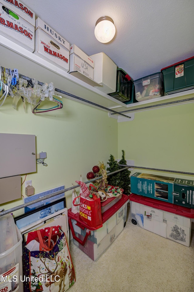 102 Grand Bear Cir, Vicksburg, MS 39183 - view of storage area