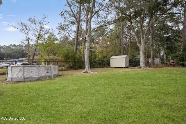 view of yard featuring a storage unit