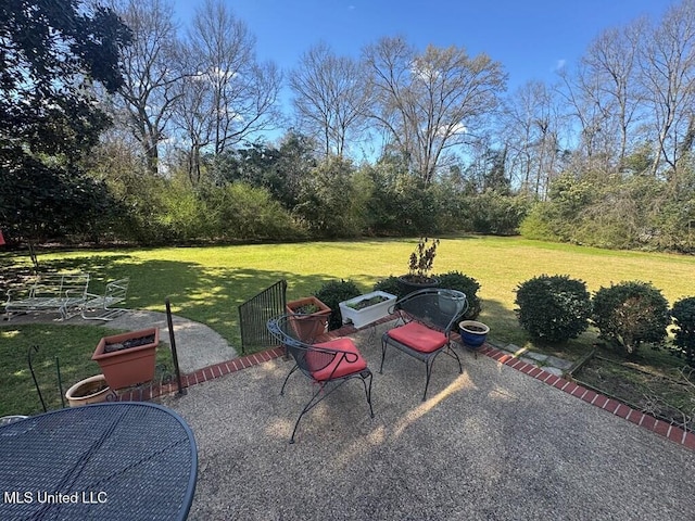 view of yard featuring a patio area