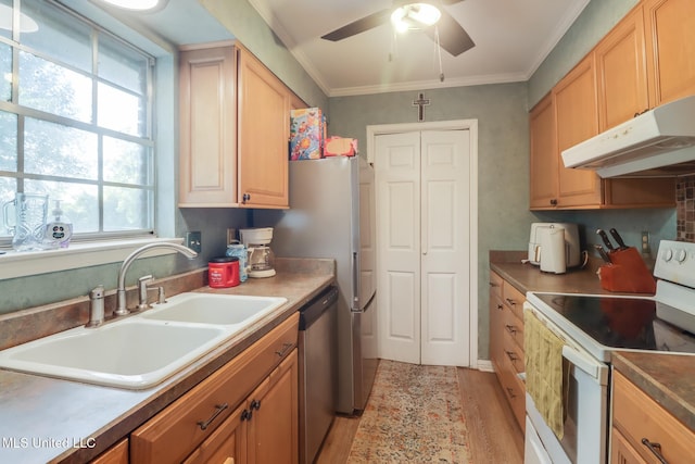 kitchen featuring stainless steel dishwasher, ceiling fan, white electric range, under cabinet range hood, and a sink