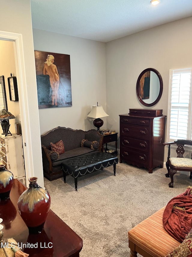 view of carpeted living area