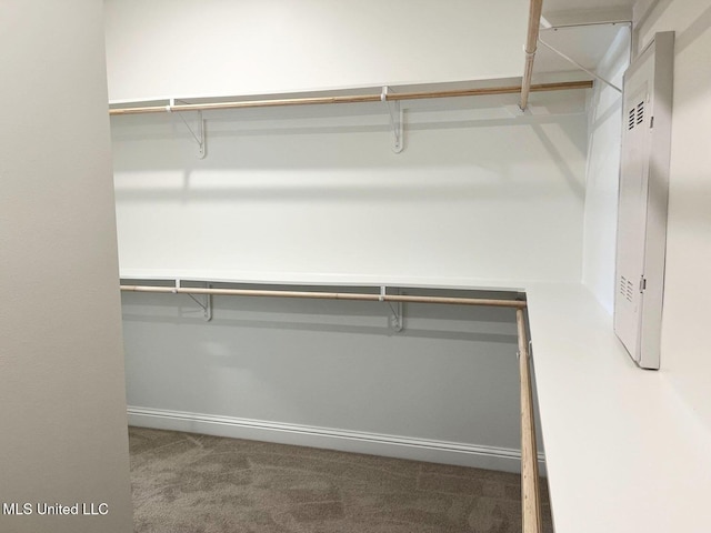 12111 Walker Rd, Ocean Springs, MS 39564 - walk in closet with carpet floors