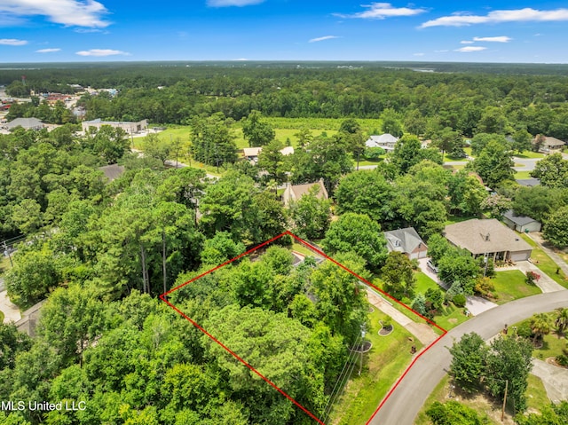 5423 Kaiki Dr, Diamondhead, MS 39525 - view of property location featuring a heavily wooded area and property parcel outlined