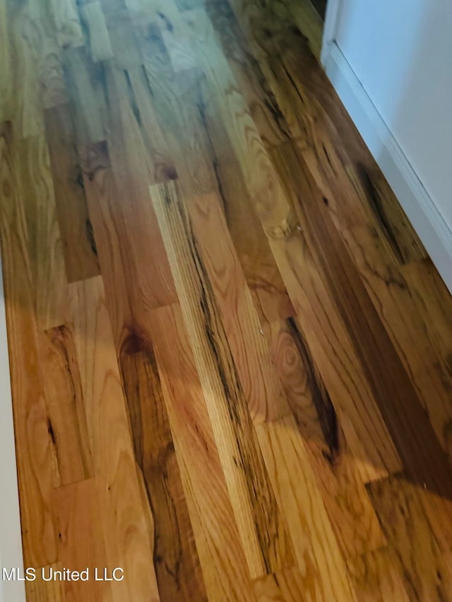 room details featuring wood-type flooring