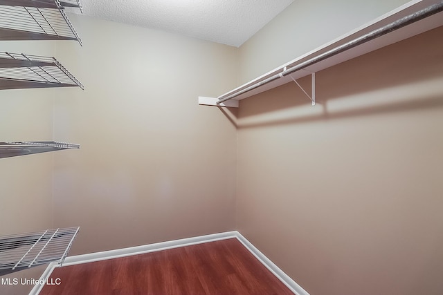 spacious closet featuring dark wood-style flooring