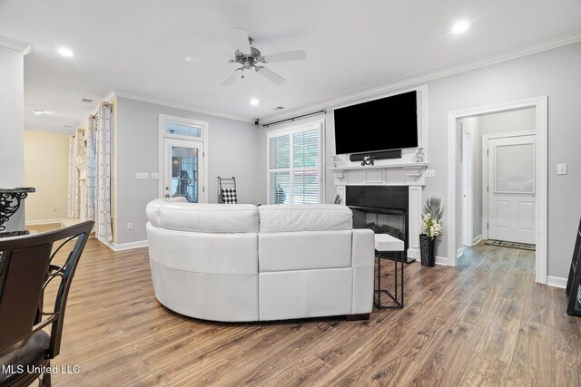 4424 Rebekah Dr, Olive Branch, MS 38654 - living area with ornamental molding, ceiling fan, light wood finished floors, a glass covered fireplace, and baseboards