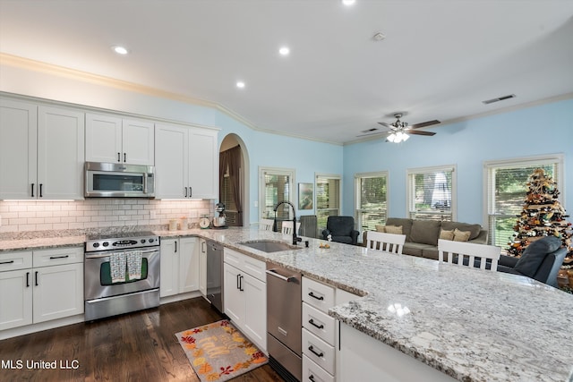 kitchen with sink, dark hardwood / wood-style flooring, ceiling fan, stainless steel appliances, and ornamental molding