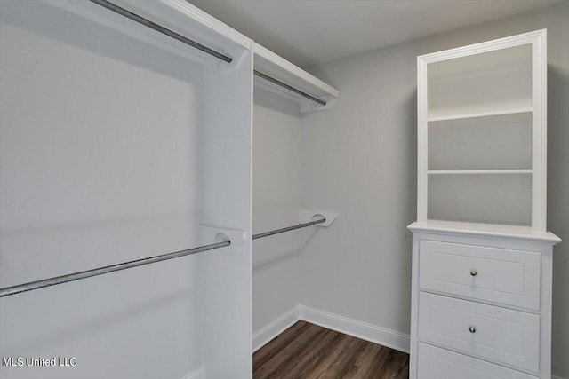 spacious closet with dark hardwood / wood-style flooring