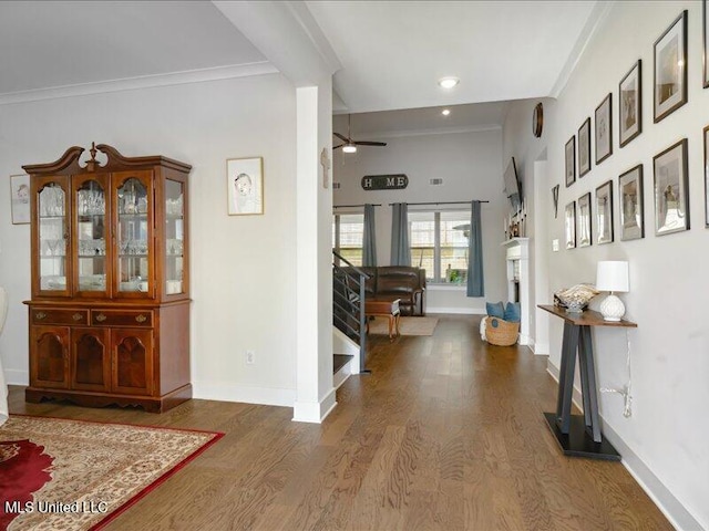 hallway featuring dark hardwood / wood-style flooring and crown molding