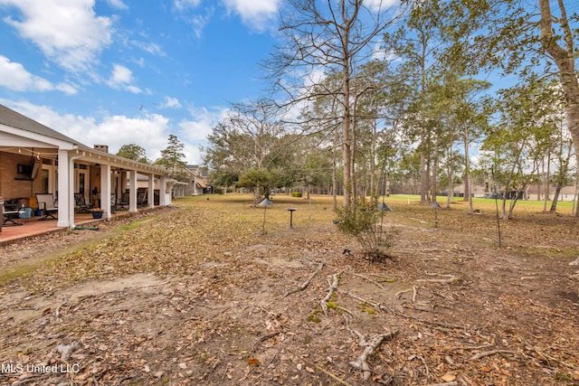 view of yard featuring a patio area