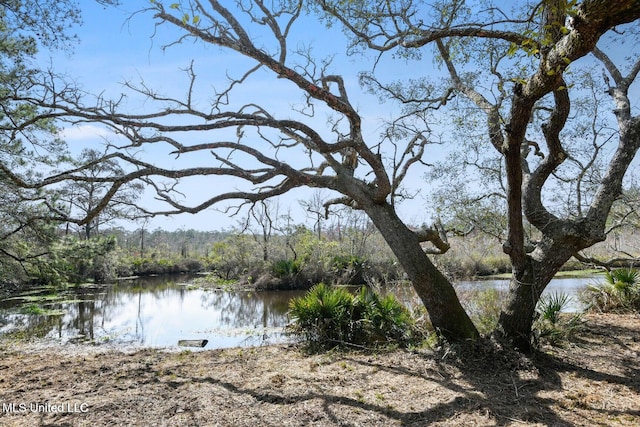 6131 Jenness Rd, Pearlington, MS 39572 - water view with a forest