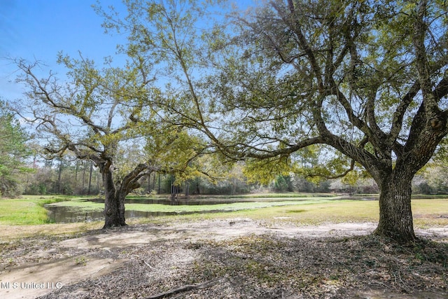 6131 Jenness Rd, Pearlington, MS 39572 - view of yard