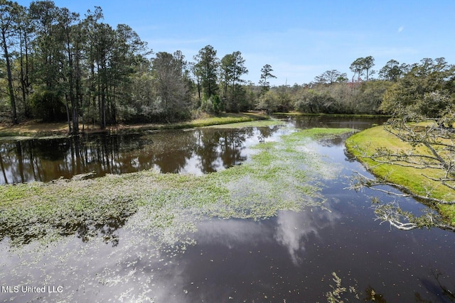 6131 Jenness Rd, Pearlington, MS 39572 - water view with a heavily wooded area