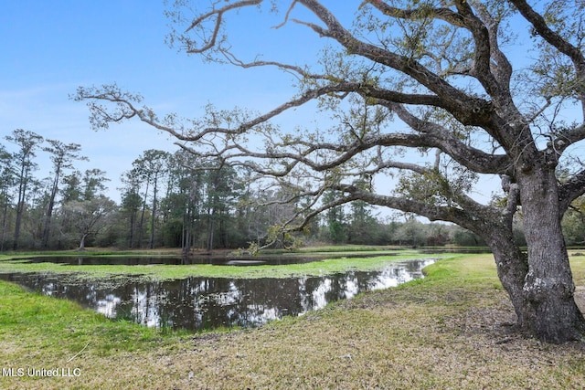 6131 Jenness Rd, Pearlington, MS 39572 - water view