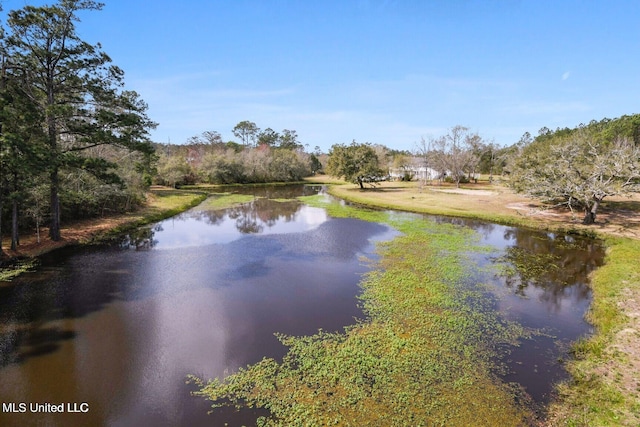 6131 Jenness Rd, Pearlington, MS 39572 - water view
