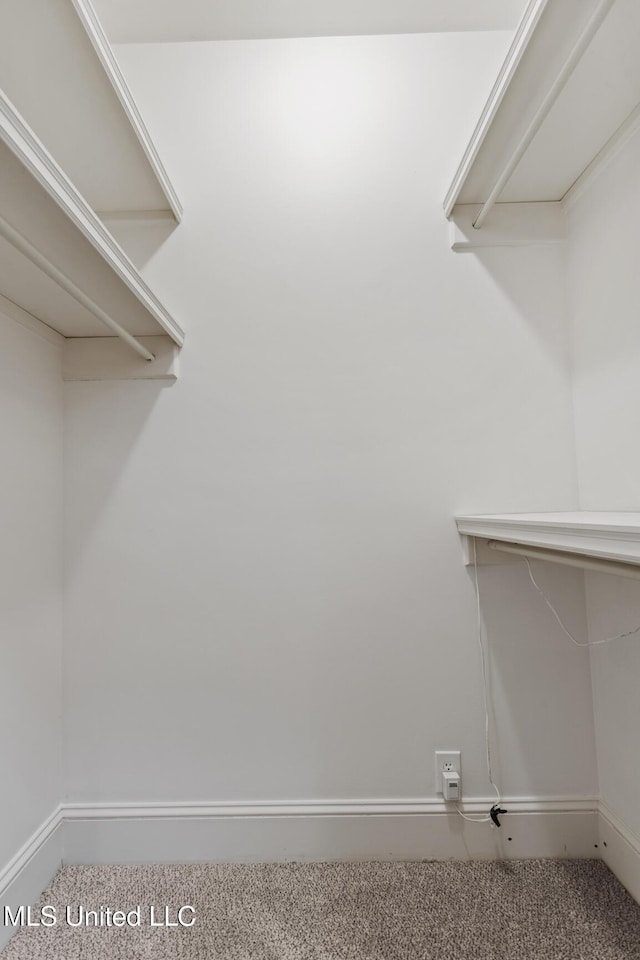 13 Highland Meadows Dr, Jackson, MS 39211 - walk in closet with carpet flooring