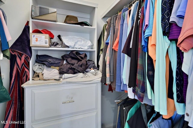 view of spacious closet