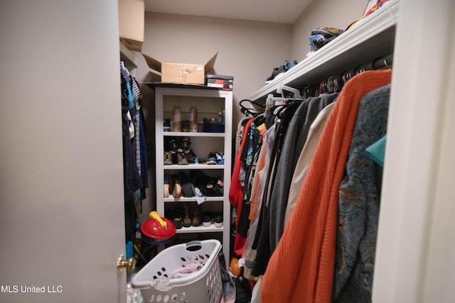 view of spacious closet