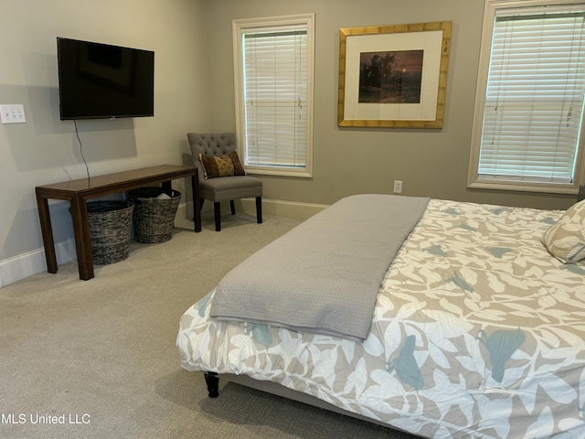 153 Bradfield Rd, Gluckstadt, MS 39110 - bedroom with carpet floors and baseboards