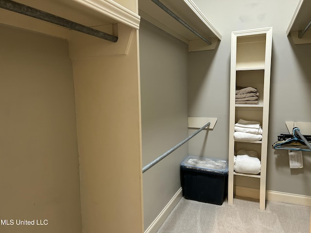153 Bradfield Rd, Gluckstadt, MS 39110 - spacious closet with carpet