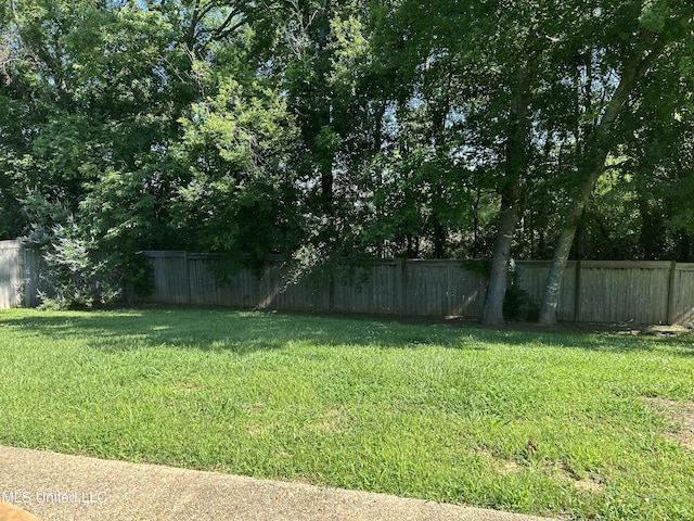 153 Bradfield Rd, Gluckstadt, MS 39110 - view of yard