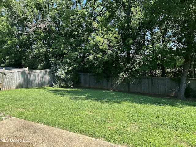 153 Bradfield Rd, Gluckstadt, MS 39110 - view of yard