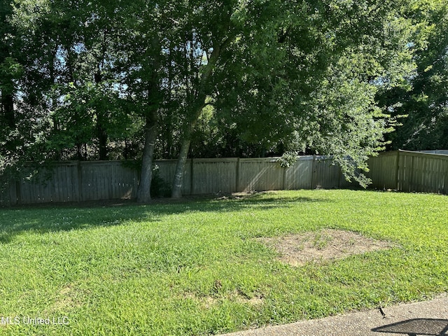 153 Bradfield Rd, Gluckstadt, MS 39110 - view of yard