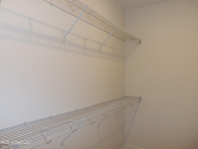 view of walk in closet