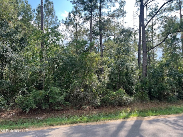 Tyler St, Bay Saint Louis MS, 39520 land for sale